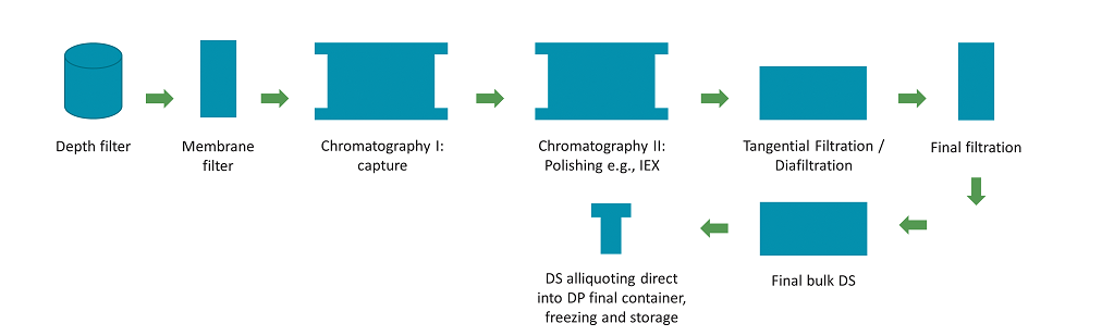 Figure 1b. Generic schema for a gene therapy viral vector mammalian cell manufacturing process